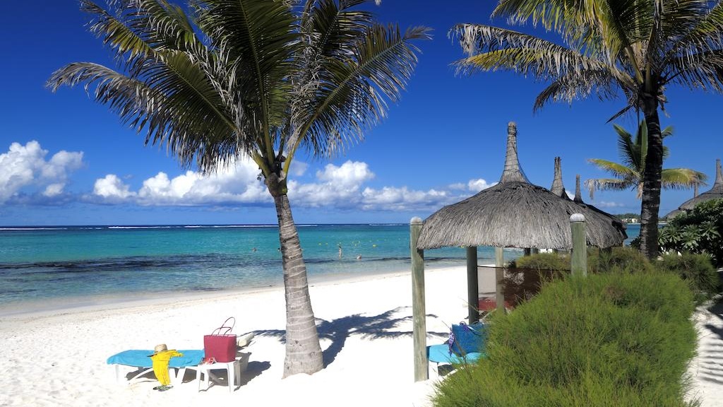 SALT of Palmar - 19. görsel